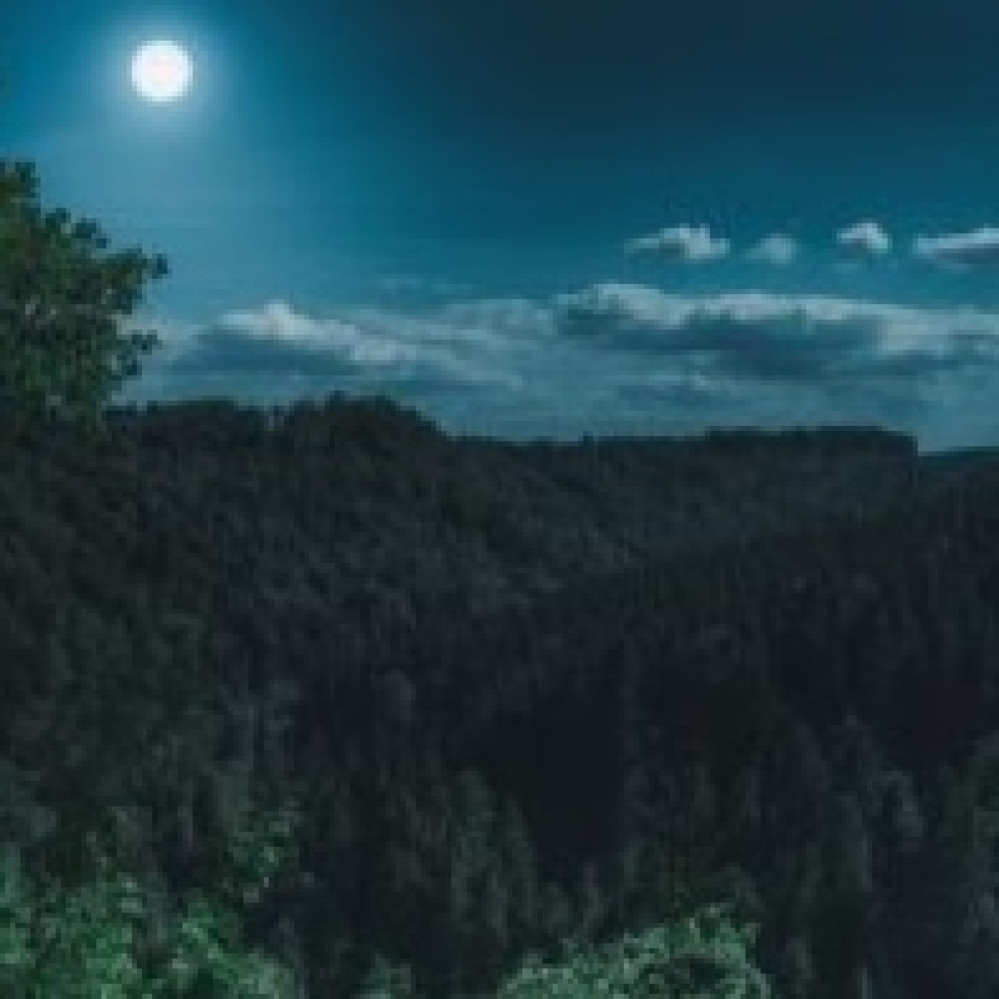 Lunas que miran
