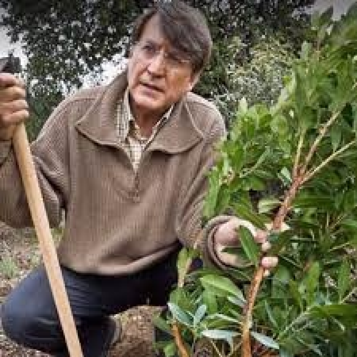 El ecologista Angel Febrero habla de Joaquín Araújo, naturalista y autor español de numerosos libros episode artwork