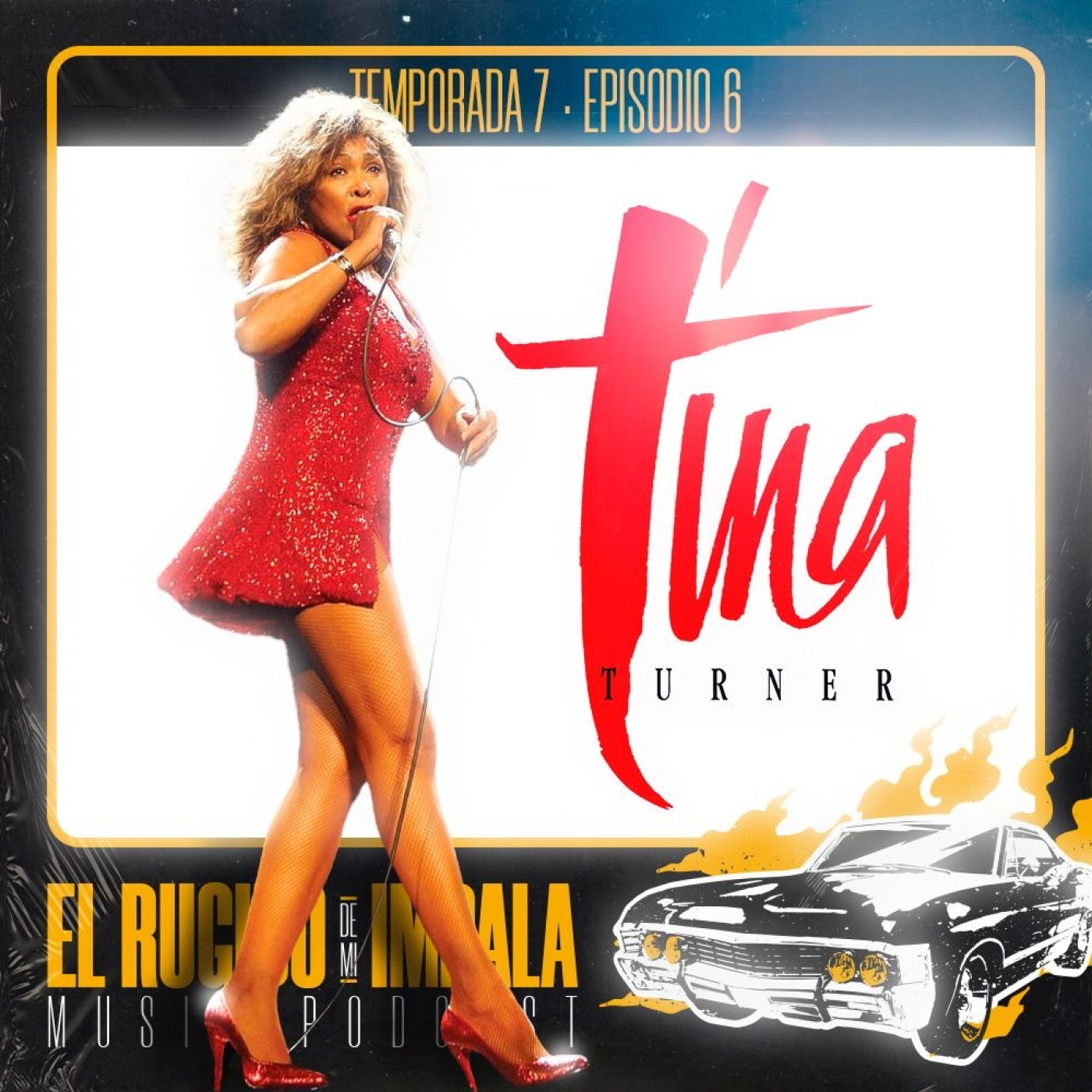 ERDMI_Rugido 7.06_Tina Turner