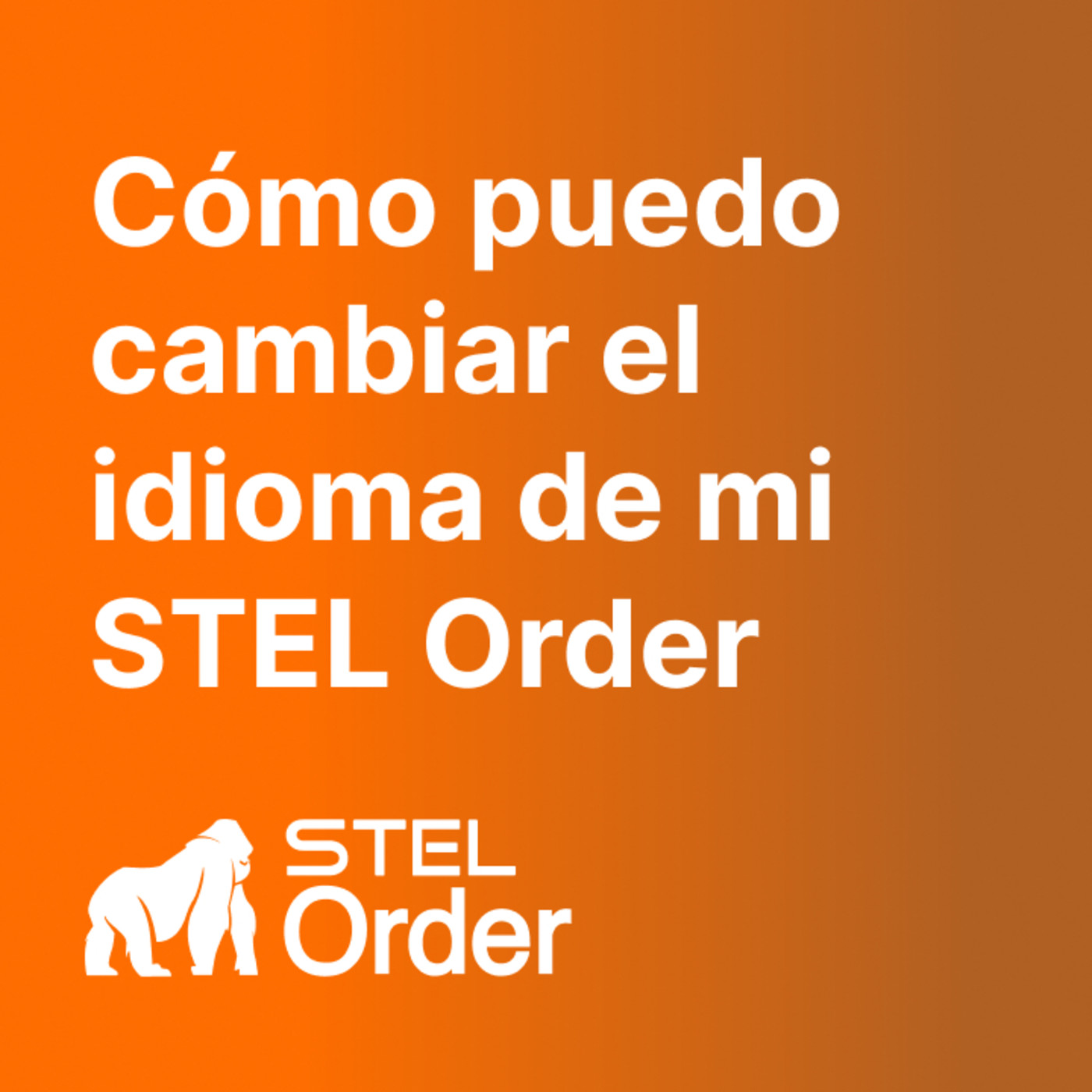 Ayuda y Soporte STEL Order