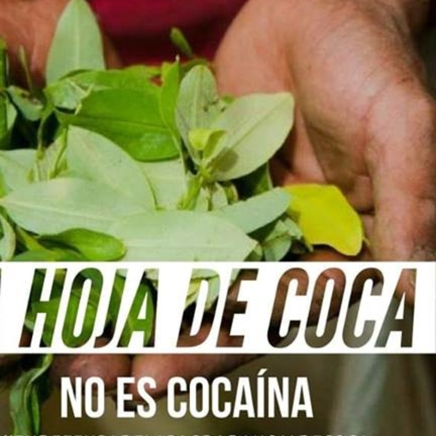 vuelta cangrejo