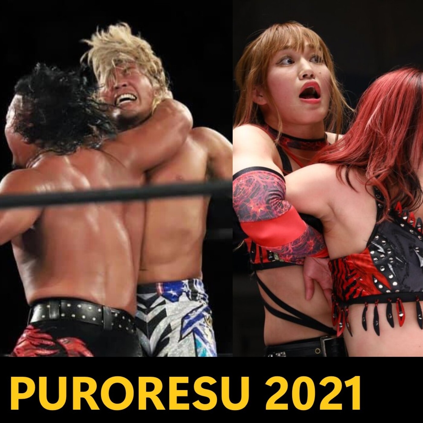 Alpha Puroresu Podcast