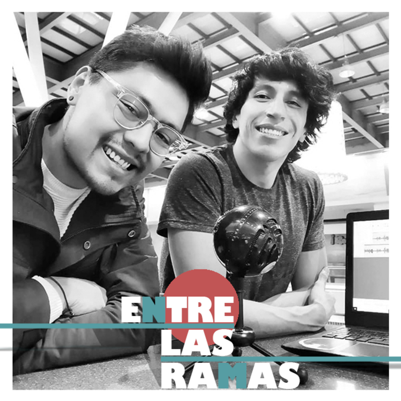 Entre las ramas