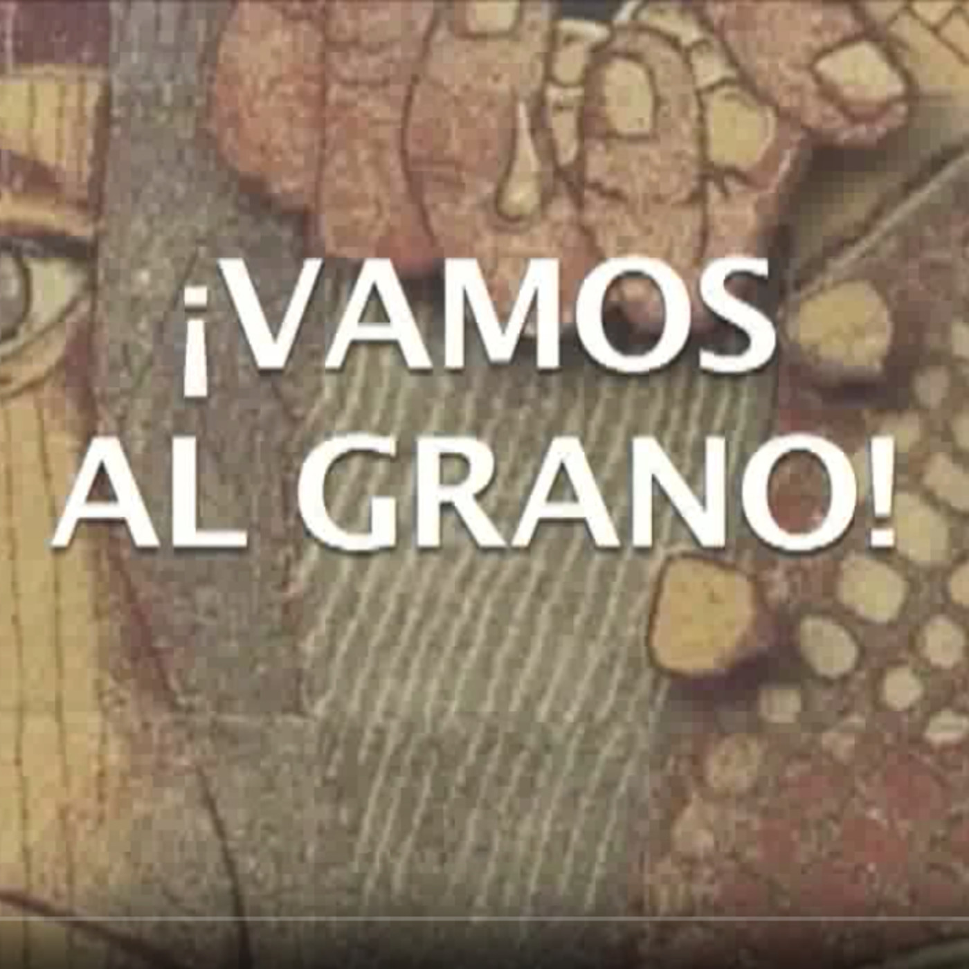 Vamos al grano. Cuidado con el maíz transgénico.