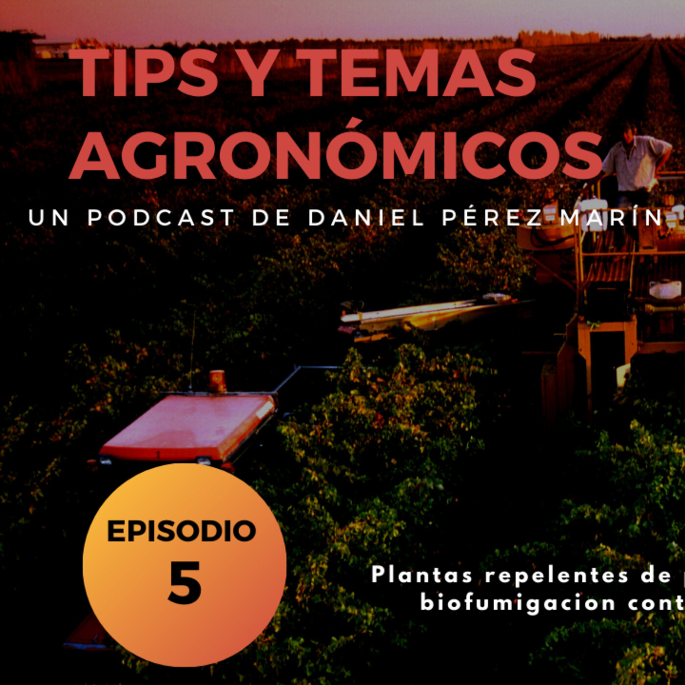 Podcast 5. Biofumigacion