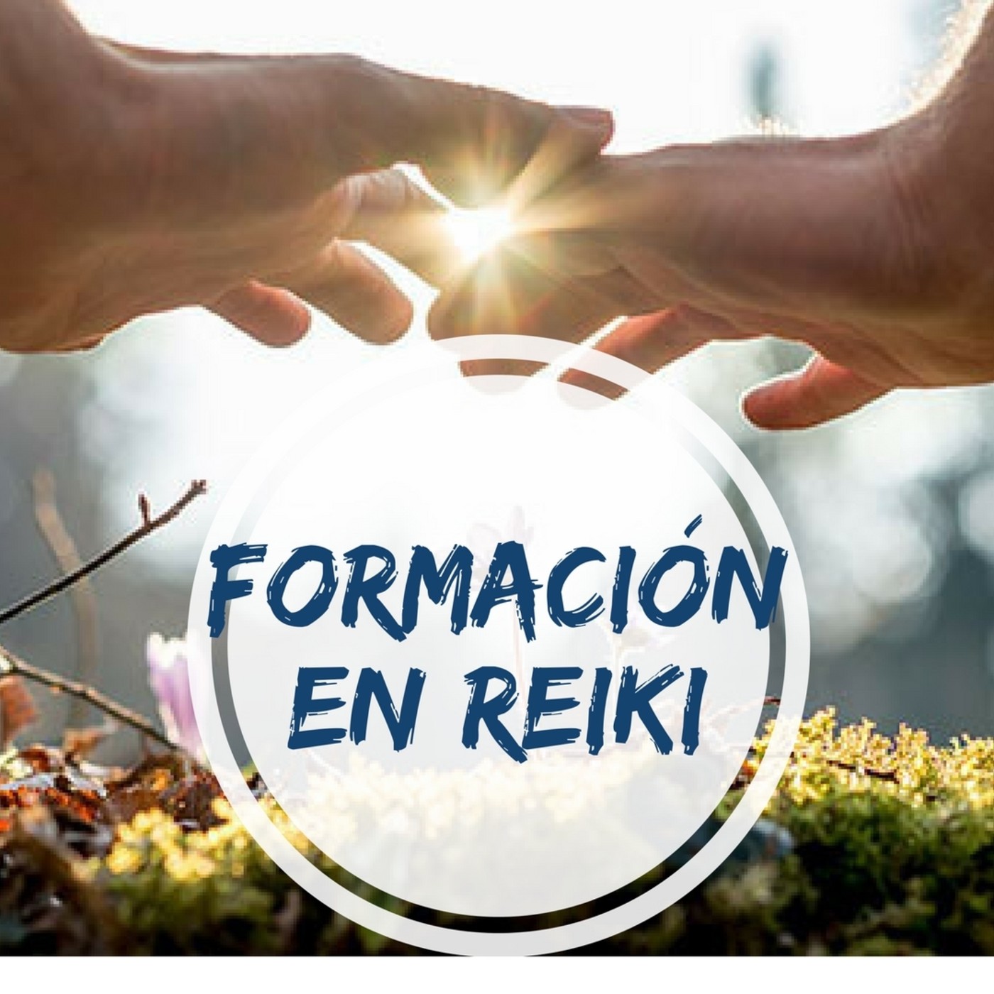 Asociación Buscadores de Plenitud