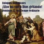 embed image