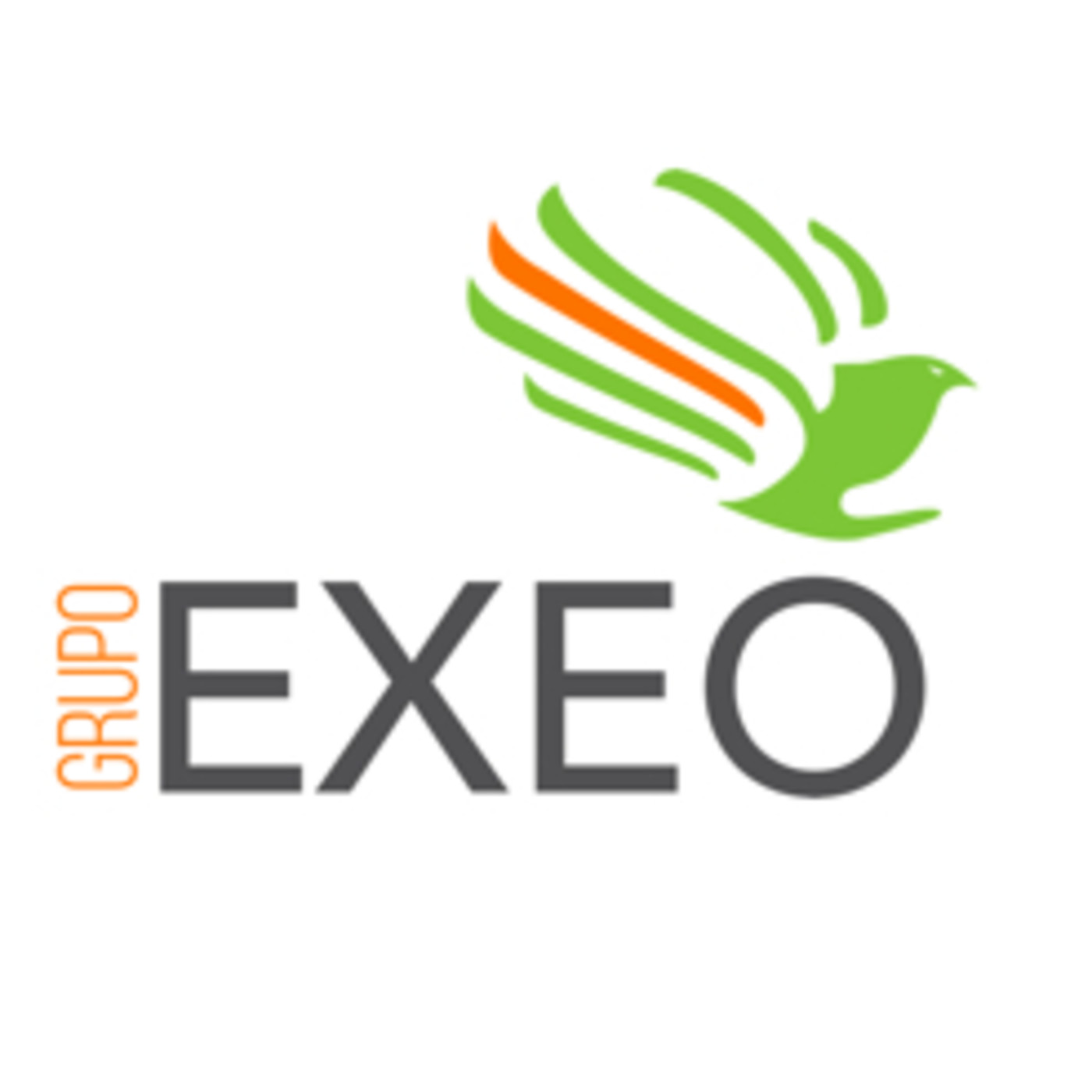 GRUPO EXEO
