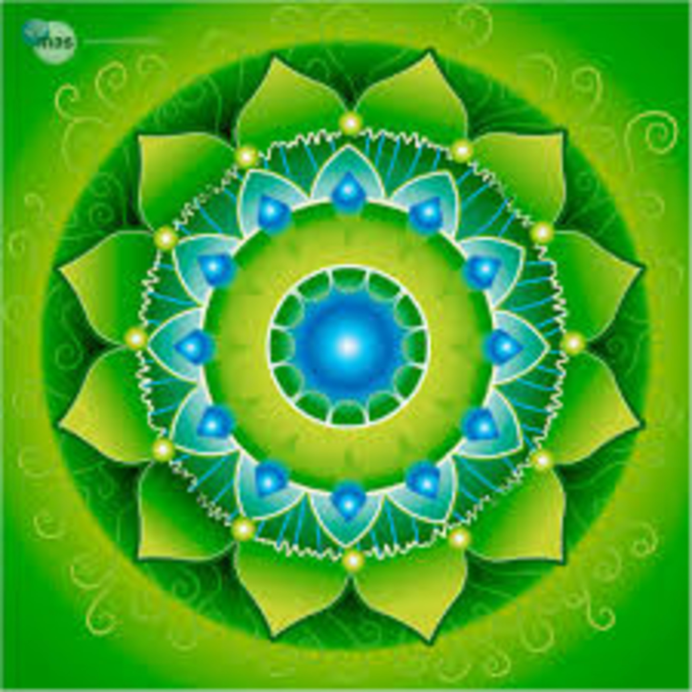 LA TELARAÑA PROGRAMAS ANTERIORES