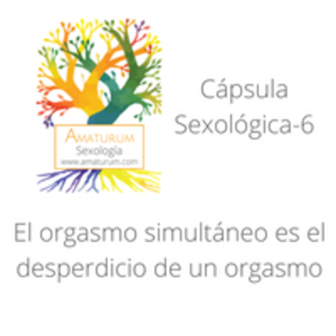 "El orgasmo simultáneo es el desperdicio de un orgasmo" episode artwork
