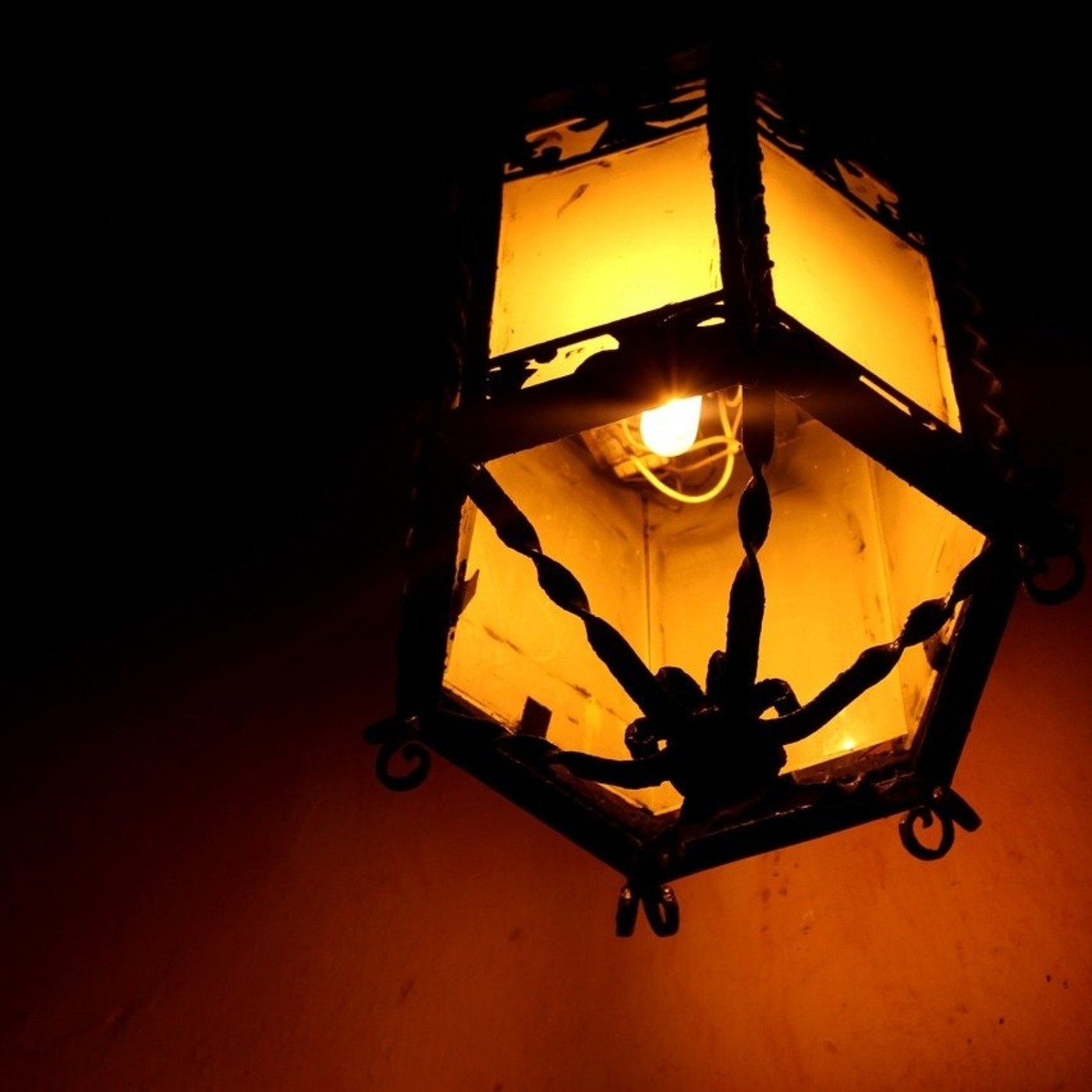 Cuentos del bosque oscuro