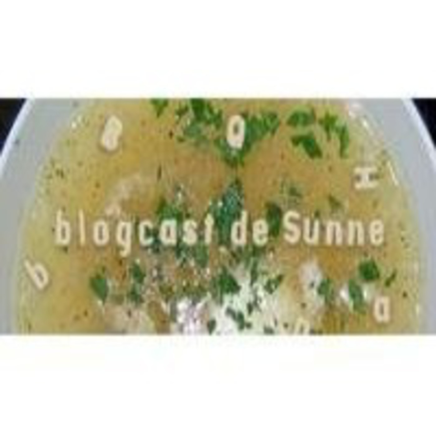 Sunne blogcast 01
