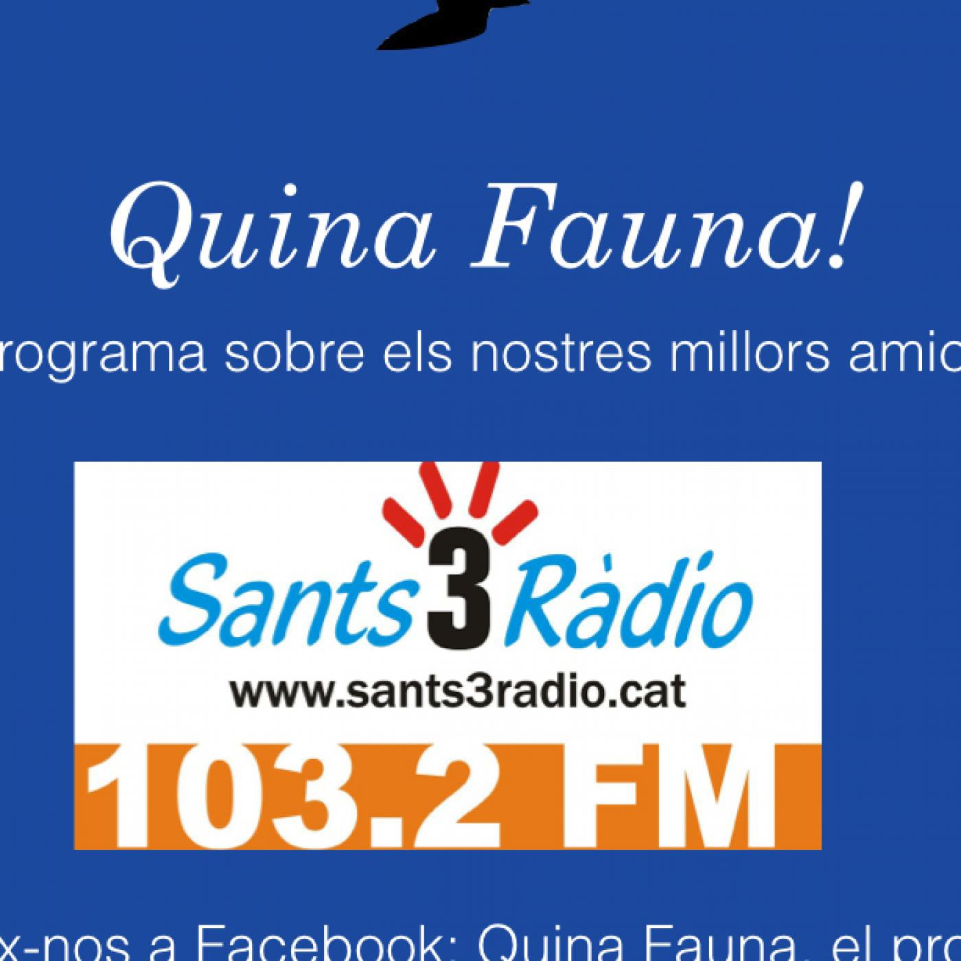 Quina Fauna