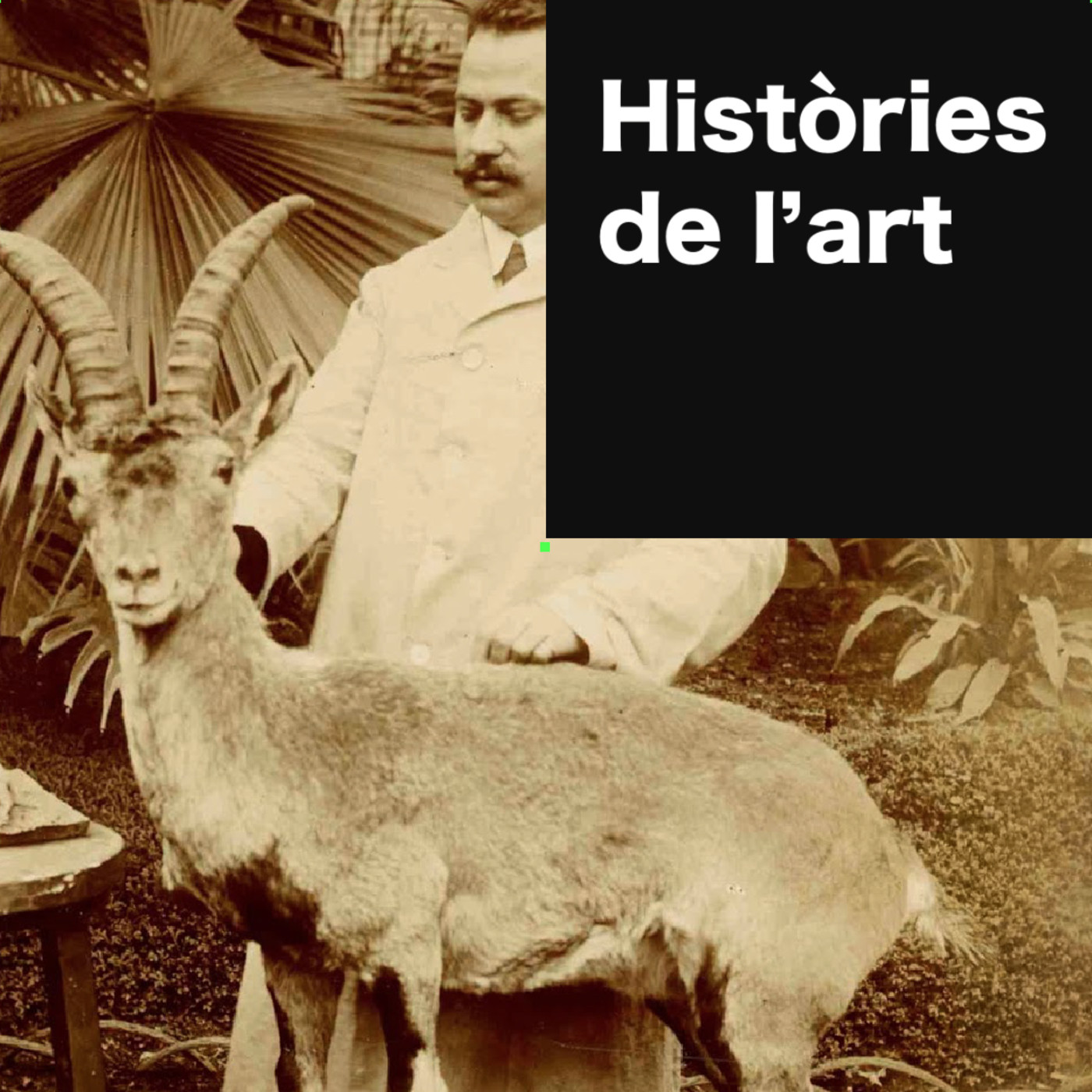 Històries de l’art