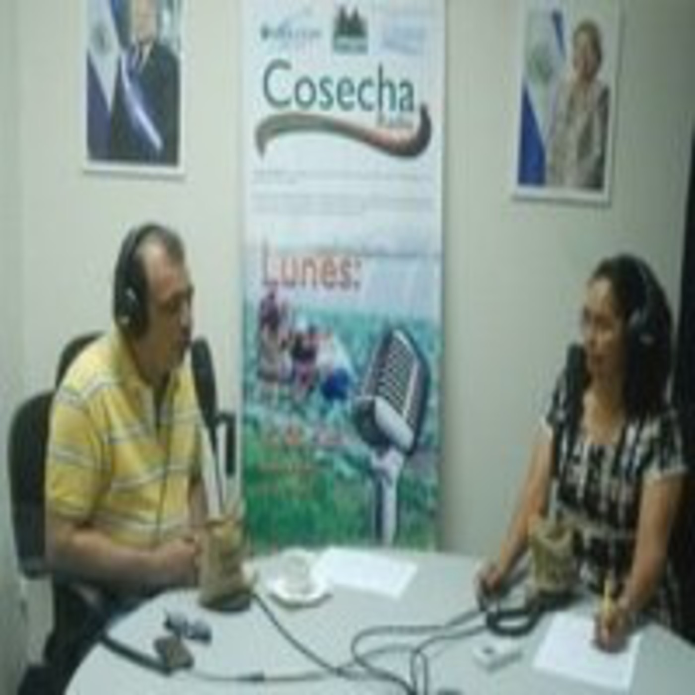 COSECHA RADIO - PODCAST