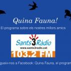 Quina Fauna! Snouts, Lucy del Vacchio, 08-11-15