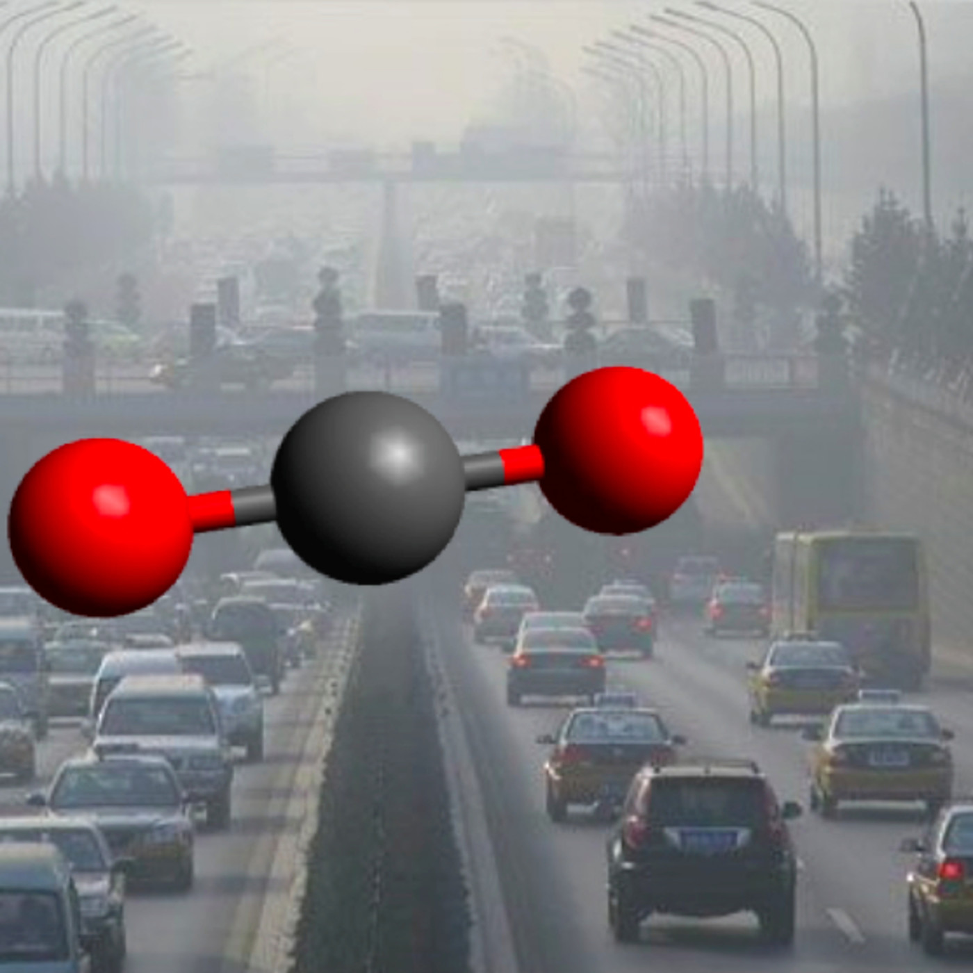 A ciencia cierta MX