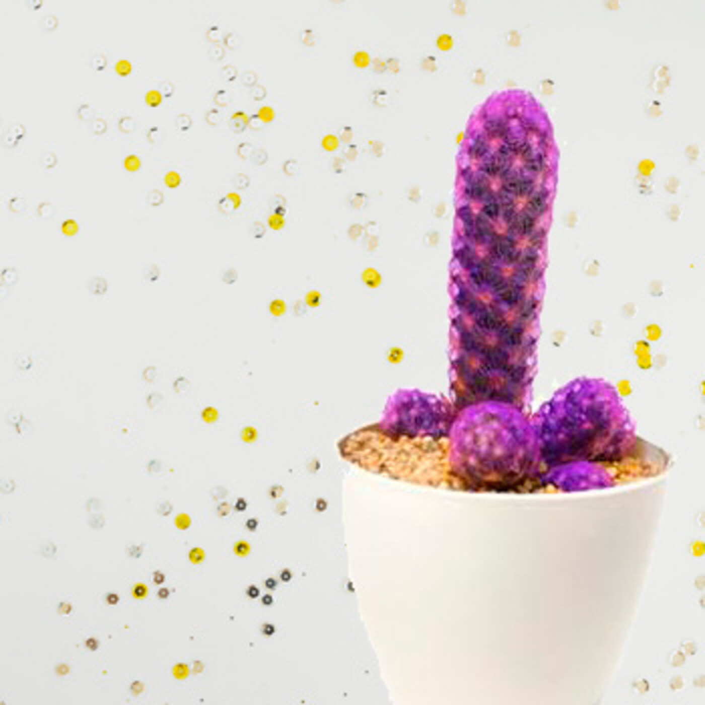 Cactus Confetti