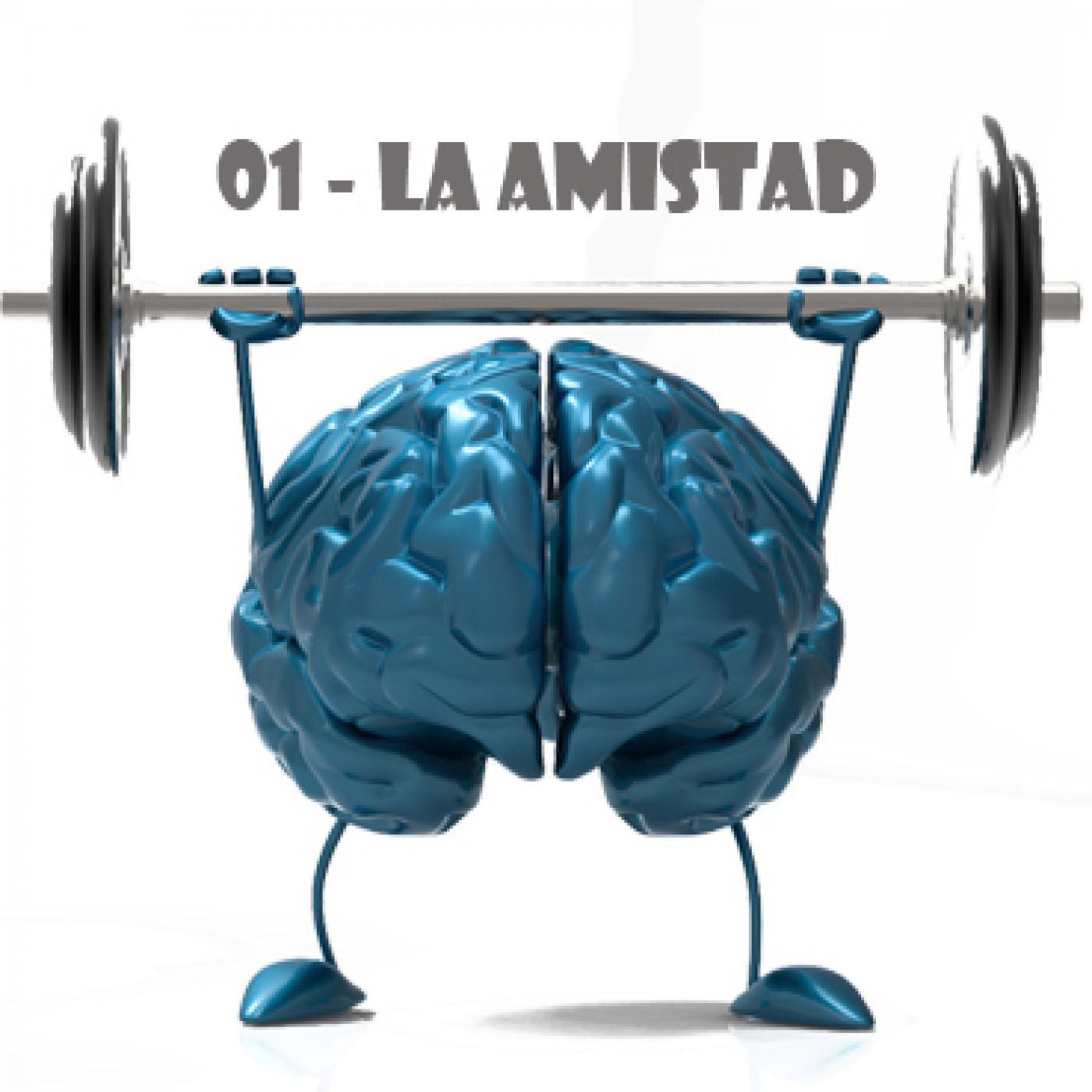 Concepto Sentido