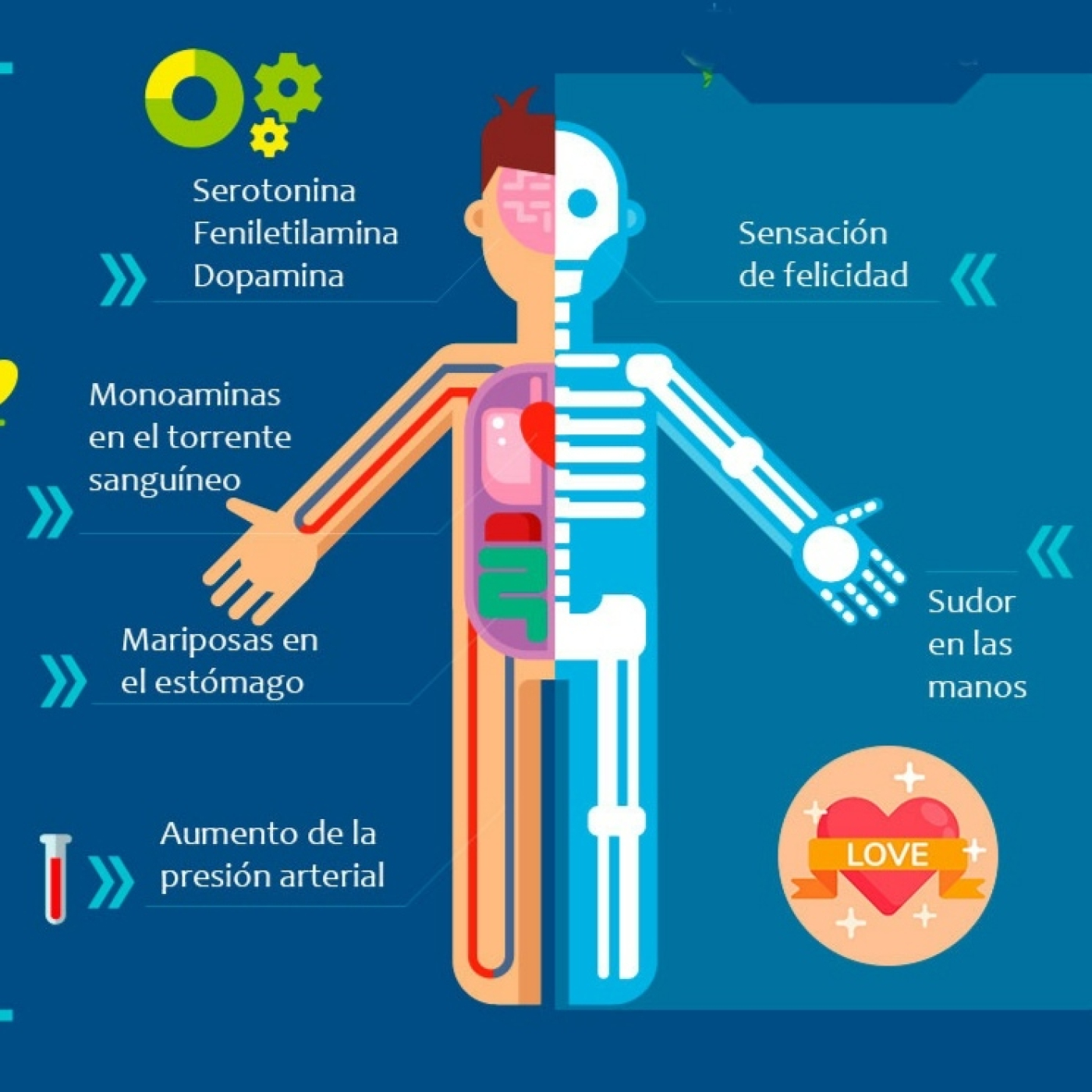 ❤️‍  La quimica adictiva del amor: LA FENILETILAMINA