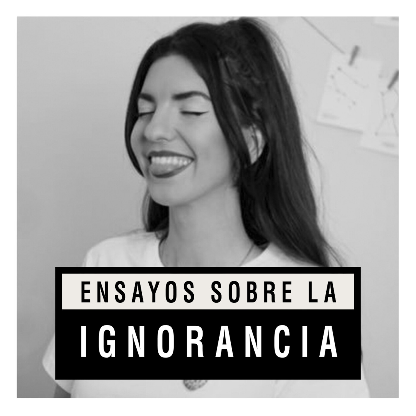 Ensayos sobre la ignorancia