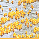 image collage4
