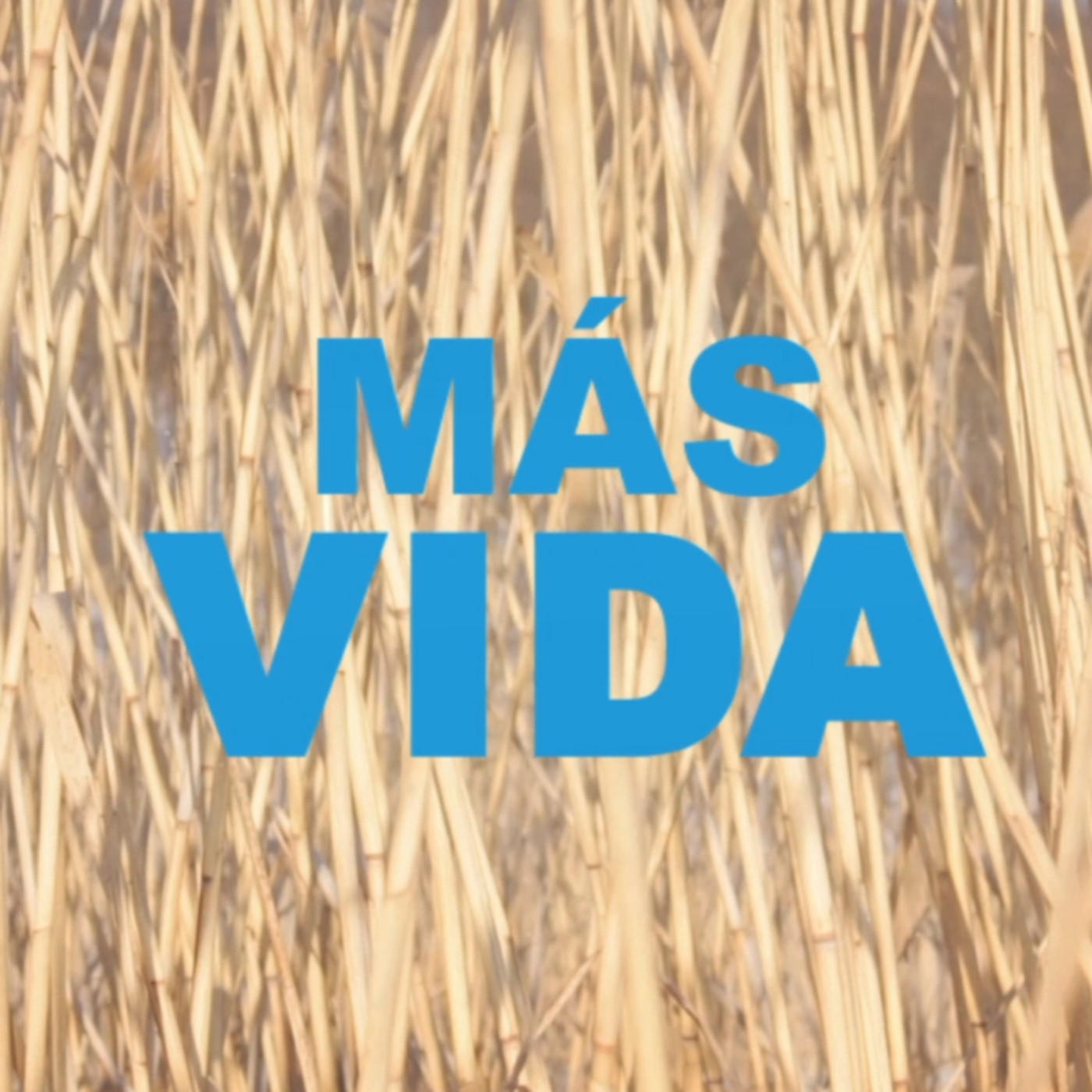 MÁS VIDA
