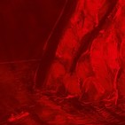 Todo tranquilo en Dunwich 24 - Los mejores cuentos de terror, volumen 3