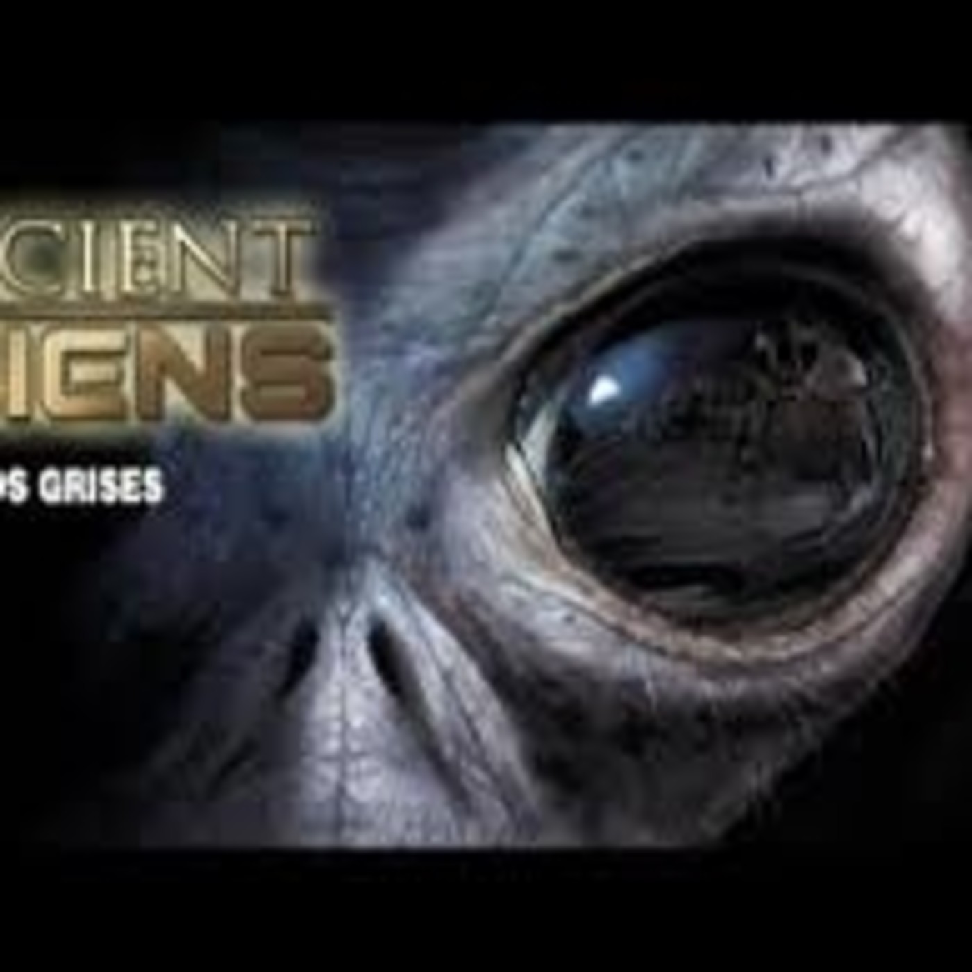 Alienigenas Ancestrales Los Grises