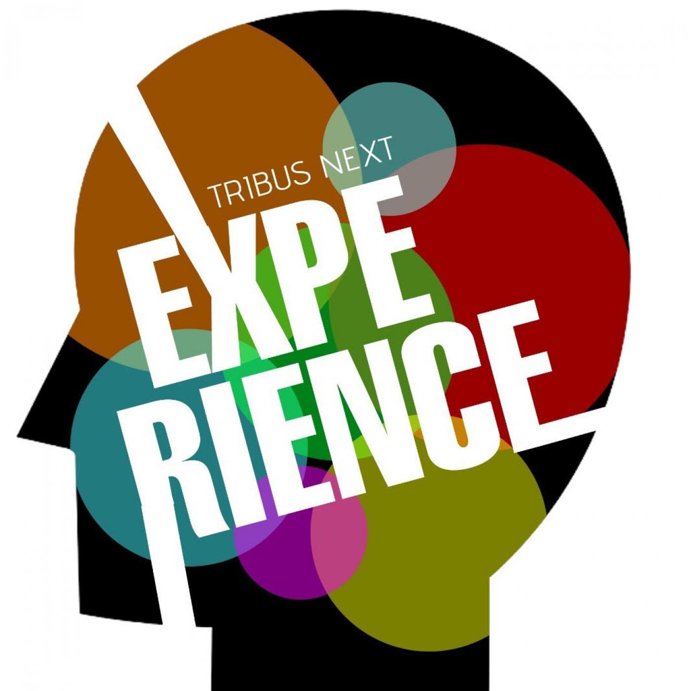 Inteligencia Social y Liderazgo Tribus