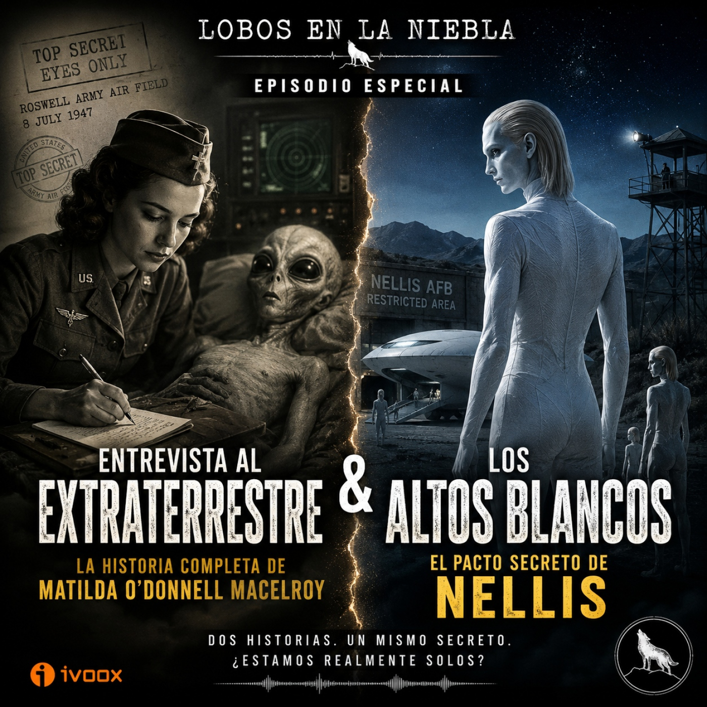 44X3 Entrevista al extraterrestre y El pacto secreto de Nellis episode artwork