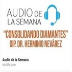 AUDIO DE LA SEMANA 22 - DIP. Dr. Herminio Nevarez - Consolidando Diamantes