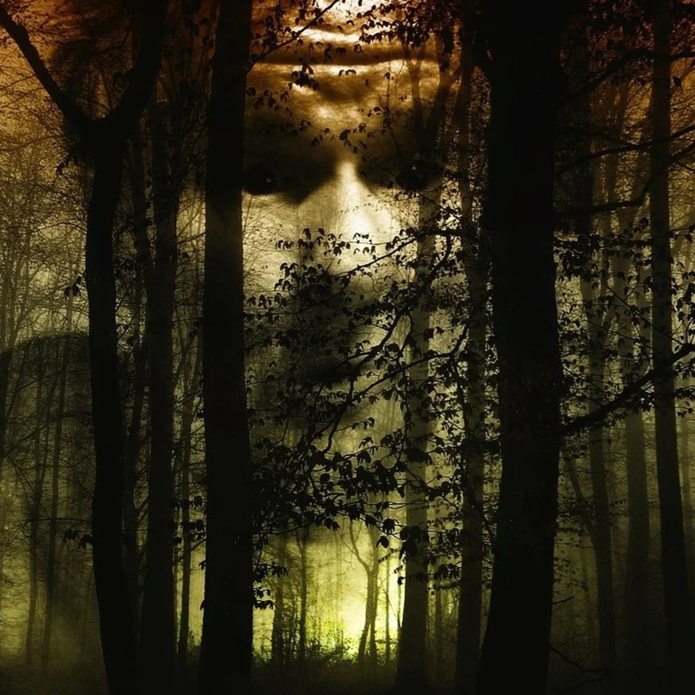 LA PUPILA INSOMNE