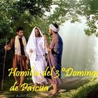 Homilía del 3º Domingo de Pascua