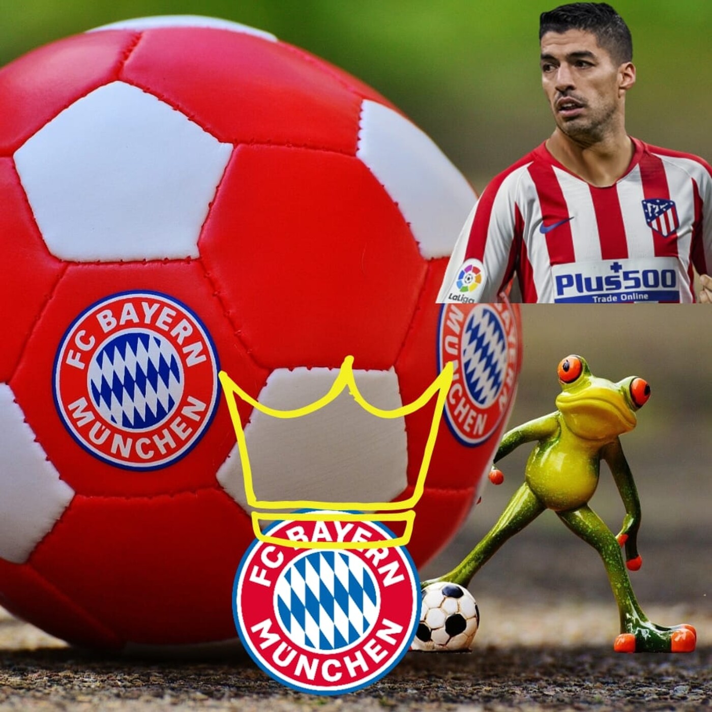 SportHouseHn