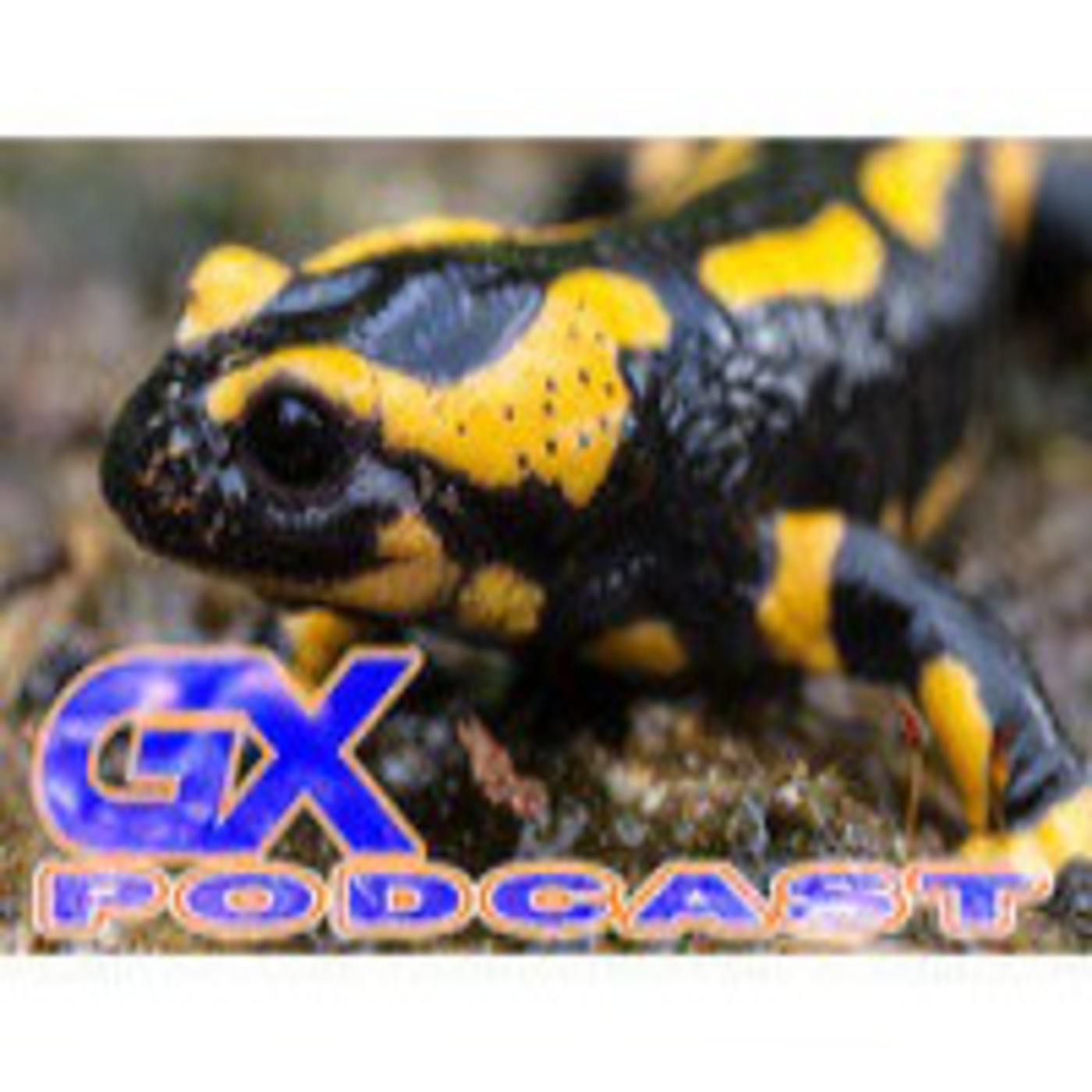 GX Podcast