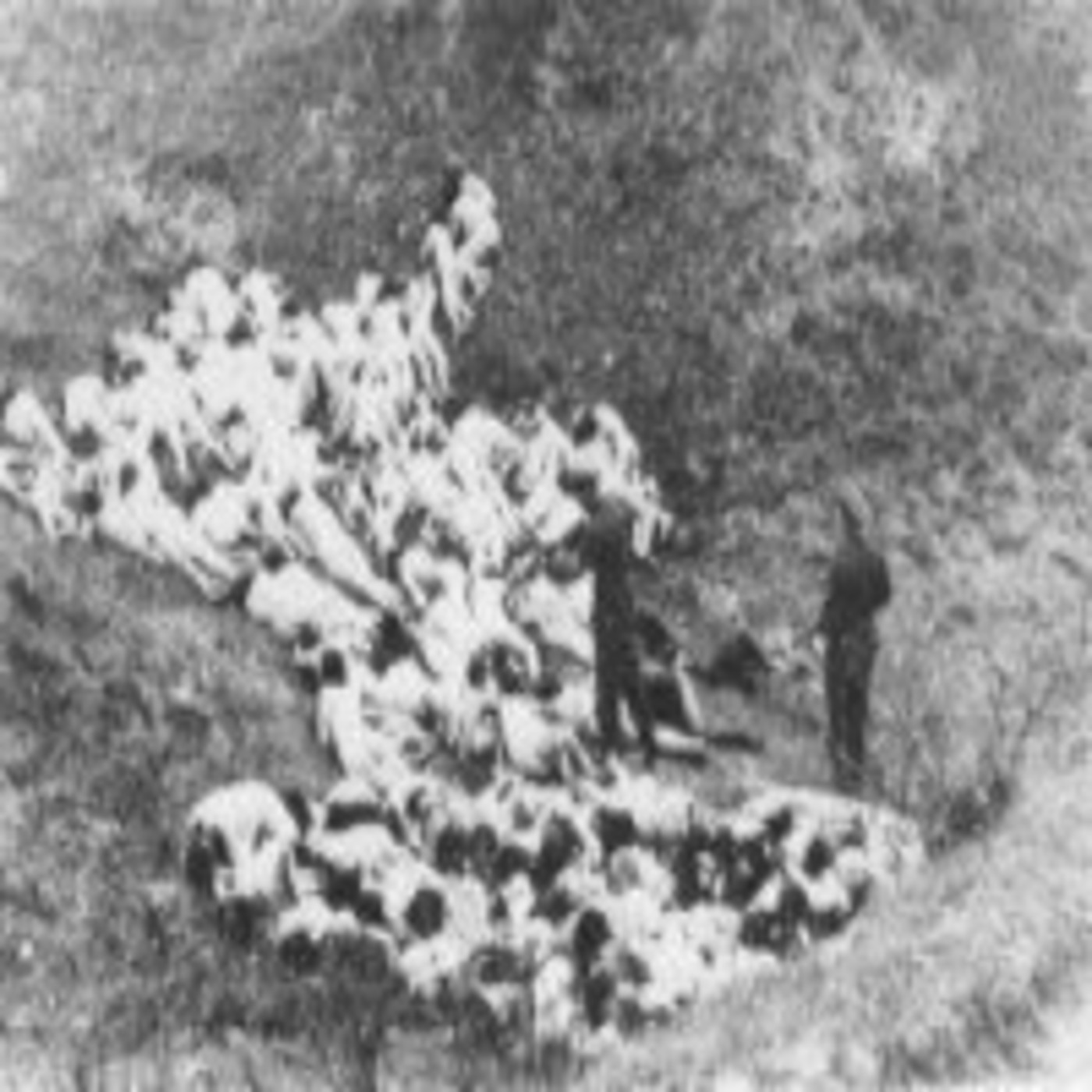 'Einsatzgruppen',La mano ejecutora de las SS de Hitler episode artwork