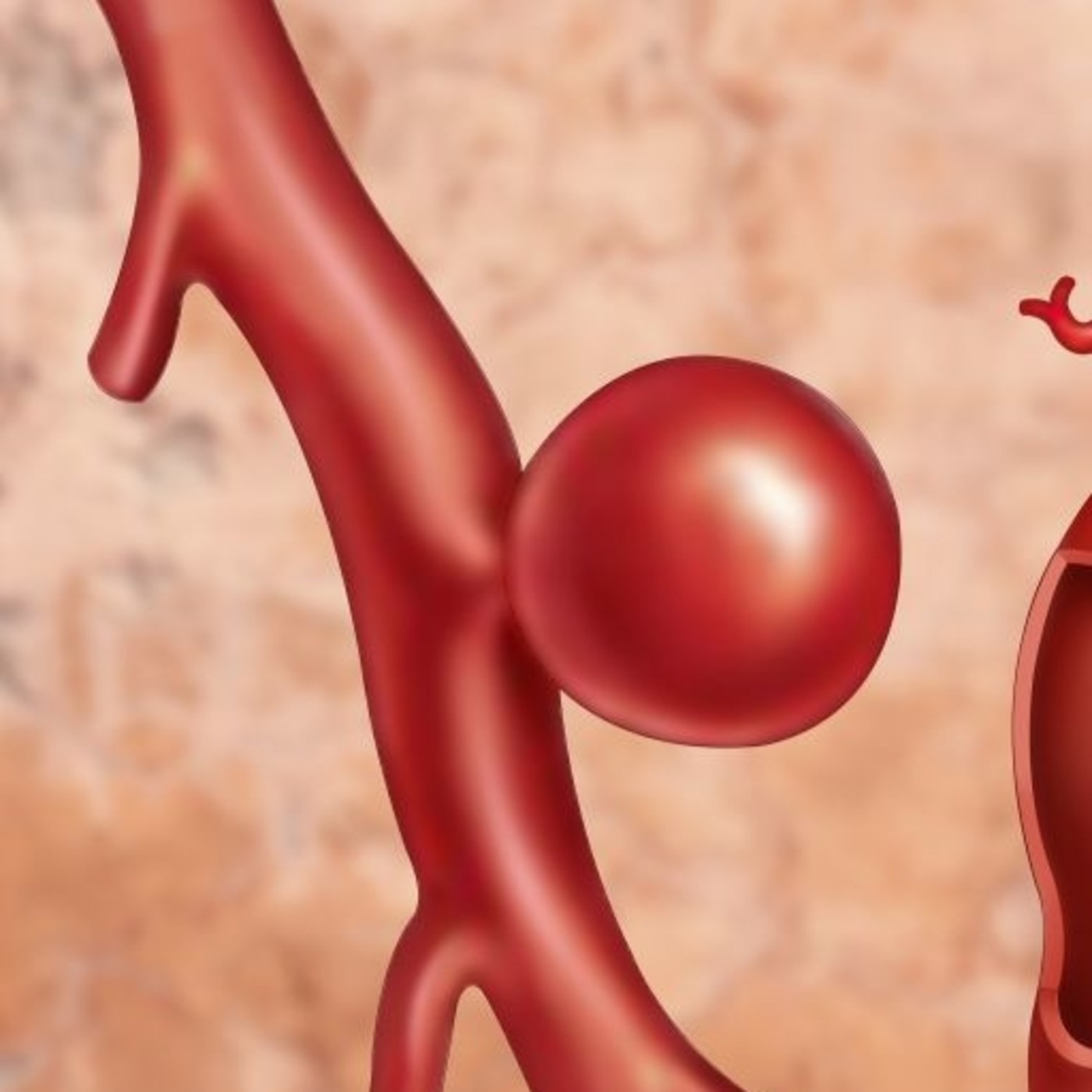 Especialistas en Cardiología en Aire de Noticias