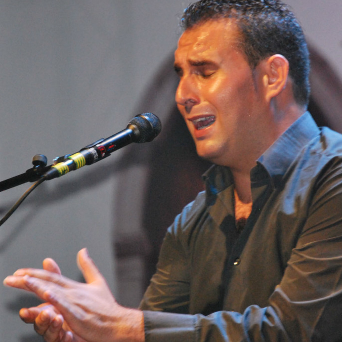Cantando por Fandangos