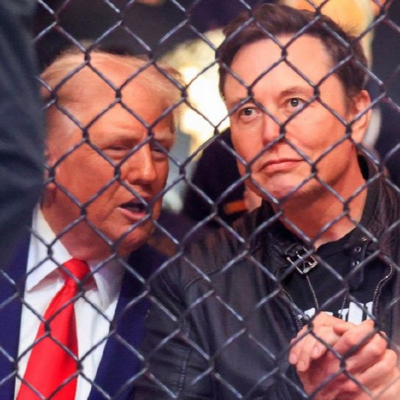 Caimanes por el Mundo