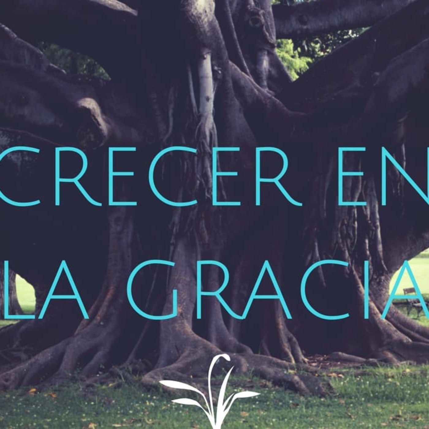 Crecer en la Gracia 2 El único Evangelio - Pastor Kenneth Solá episode artwork