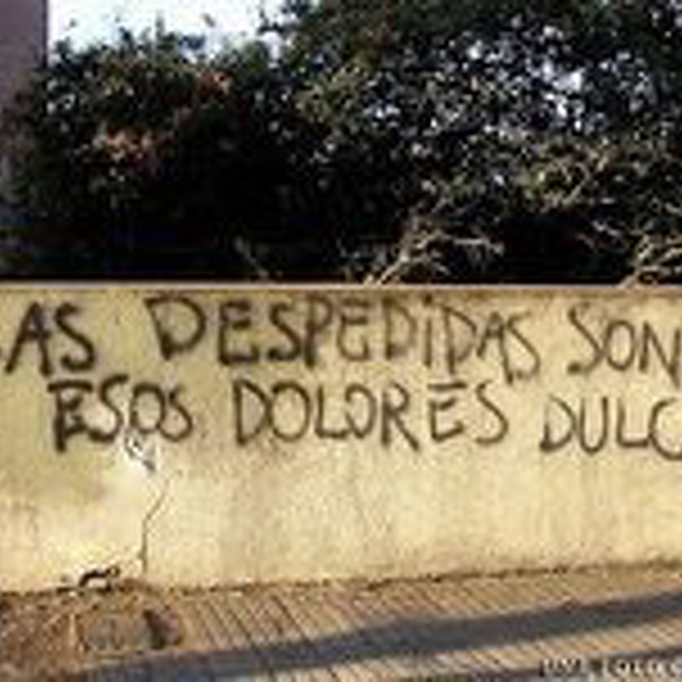 Programa del 20 de Diciembre de 2014