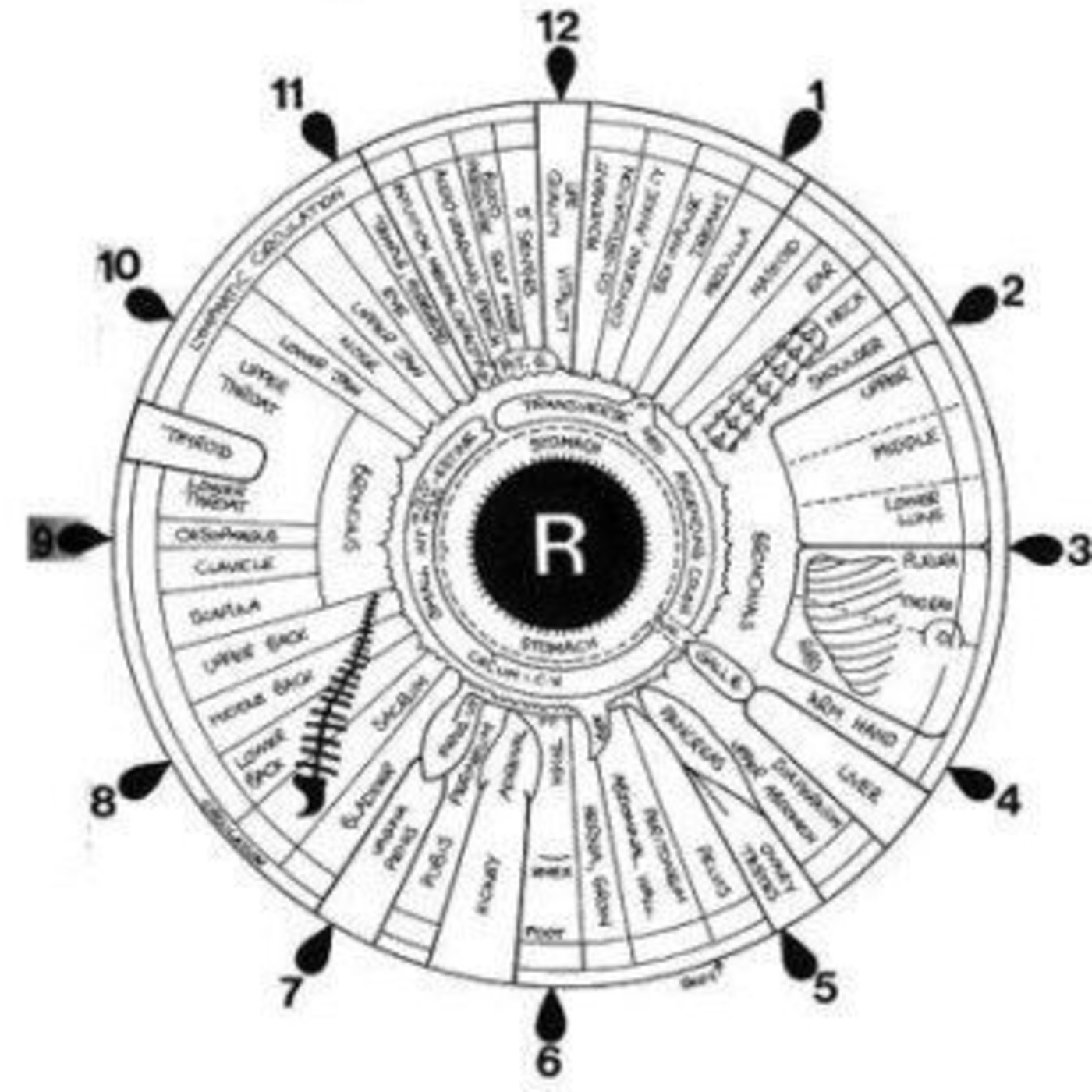 PARA NORMALES DE LA NOCHE