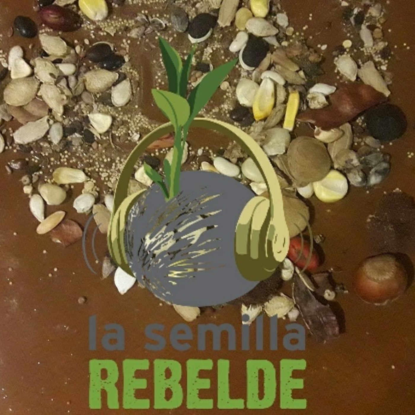 La Semilla Rebelde 27.11.2017