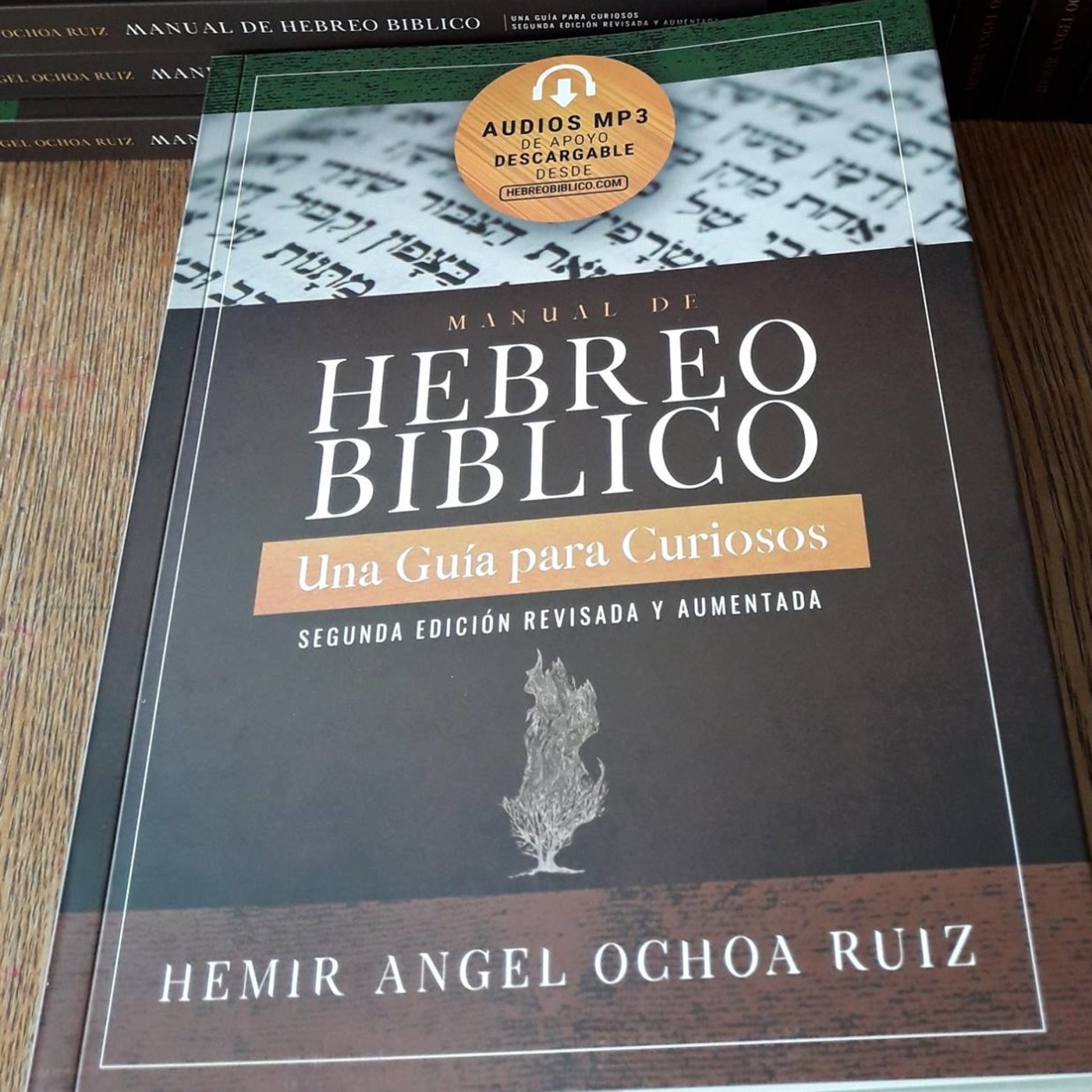 Audios Manual de Hebreo Bíblico