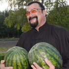 PROGRAMA 39 - Monográfico Steven Seagal