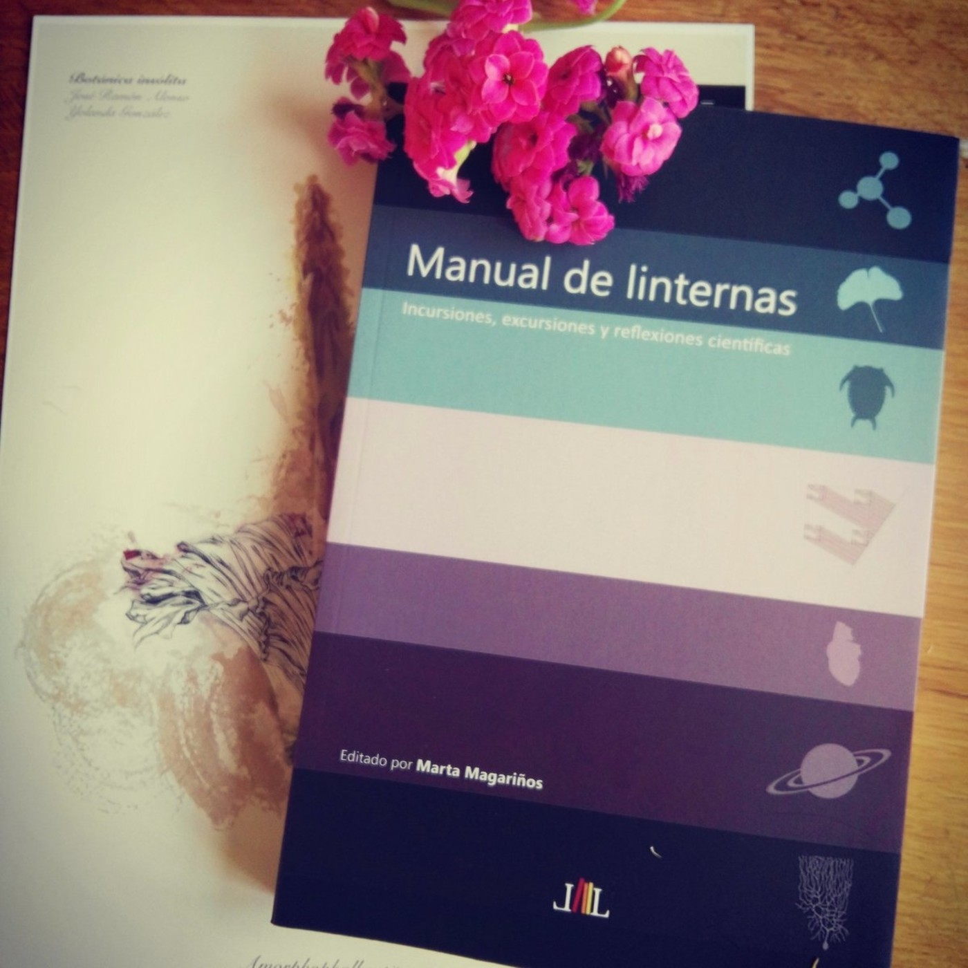 Manual de Linternas: A literatura de divulgación episode artwork