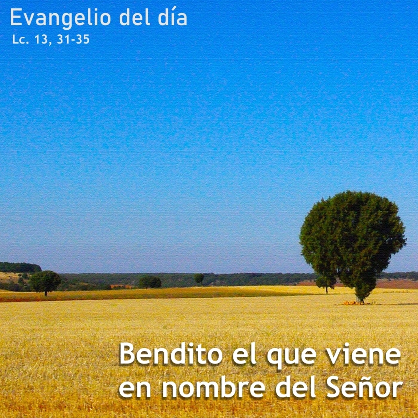 29 de octubre de 2020