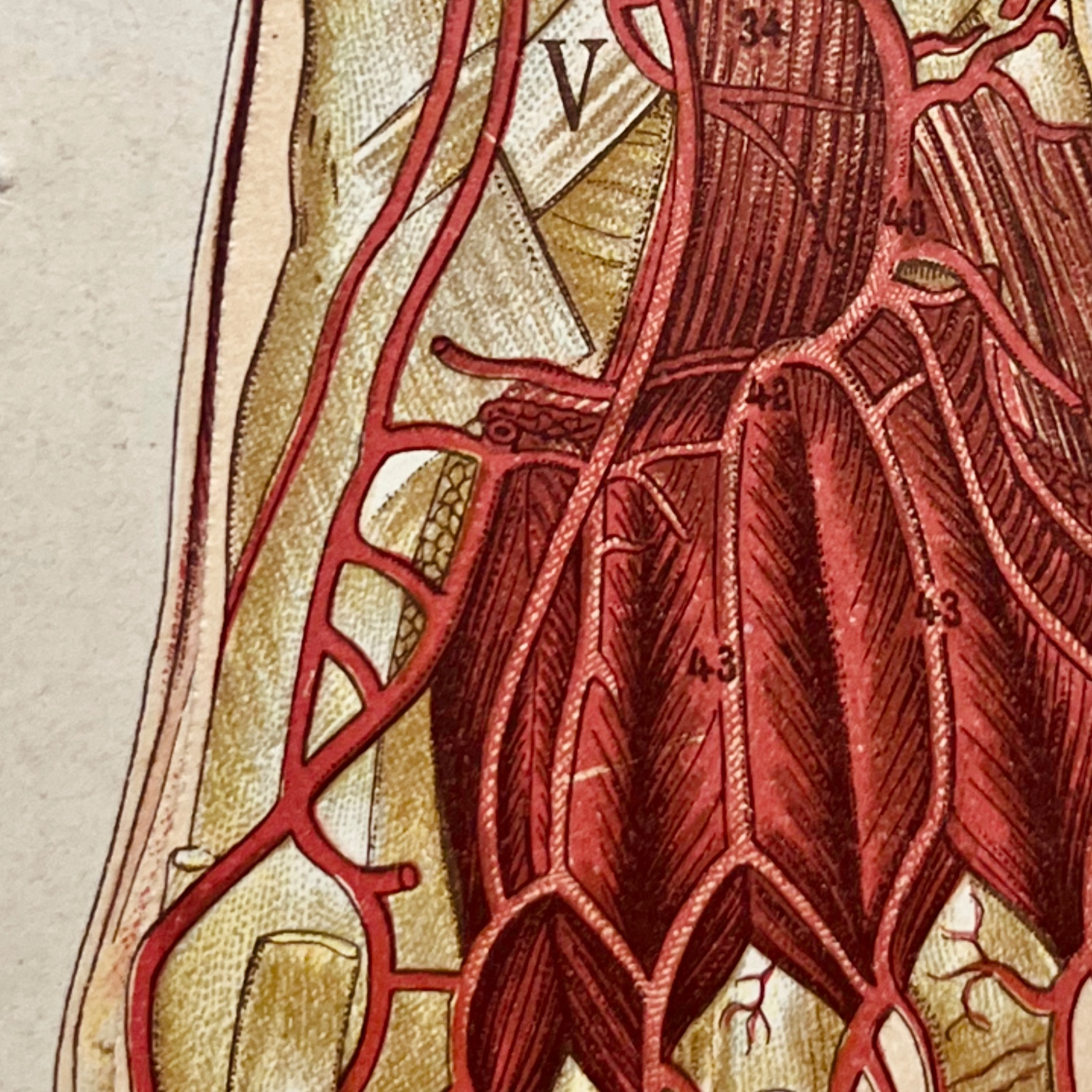 EPSA is Burning S27 E05 - Episodio exclusivo para mecenas