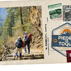 embed image